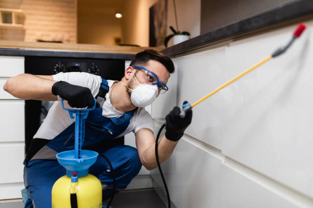Best Bed Bug Extermination  in North Puyallup, WA