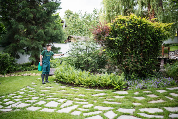 Professional Pest Control in North Puyallup, WA
