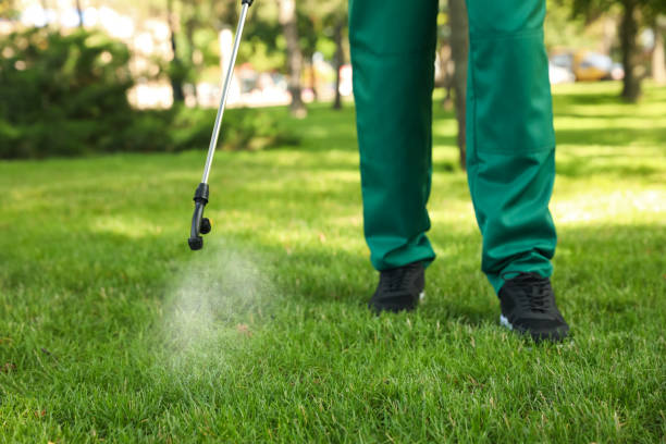 Reliable North Puyallup, WA Pest Control Solutions