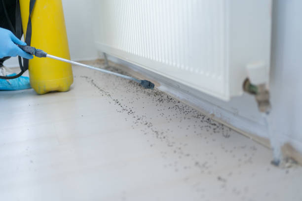 Best Pest Control for Homes  in North Puyallup, WA