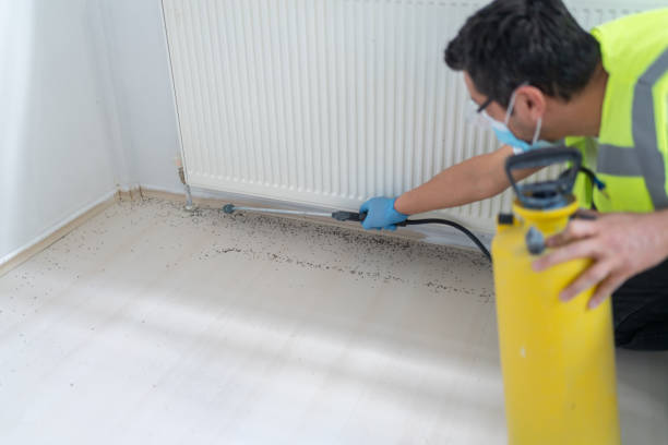 Best Local Pest Control Services  in North Puyallup, WA
